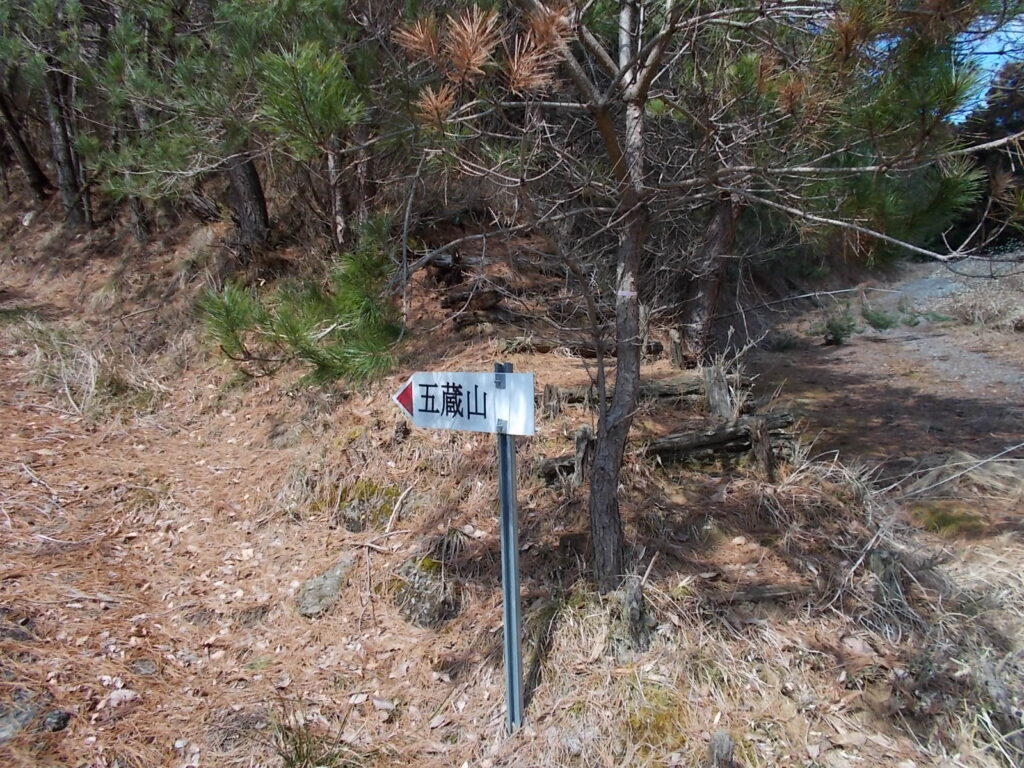 10:41 案内板。右の斜面から登れるようですが、途中で草に邪魔されます。