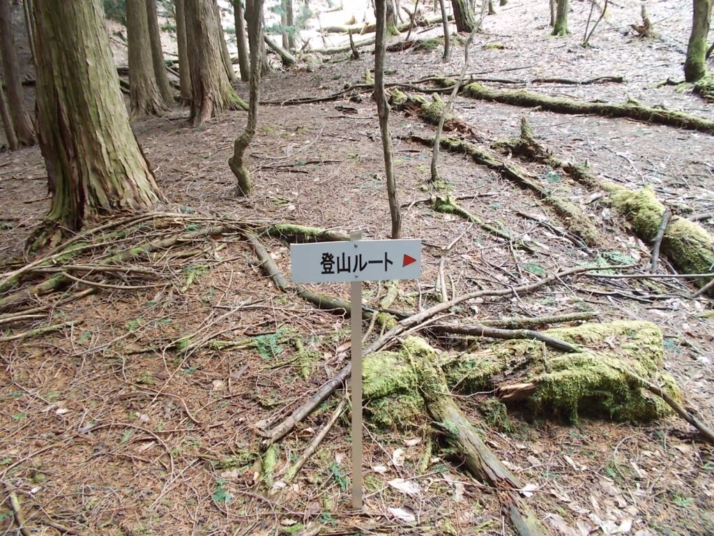 11:05 ルートの案内