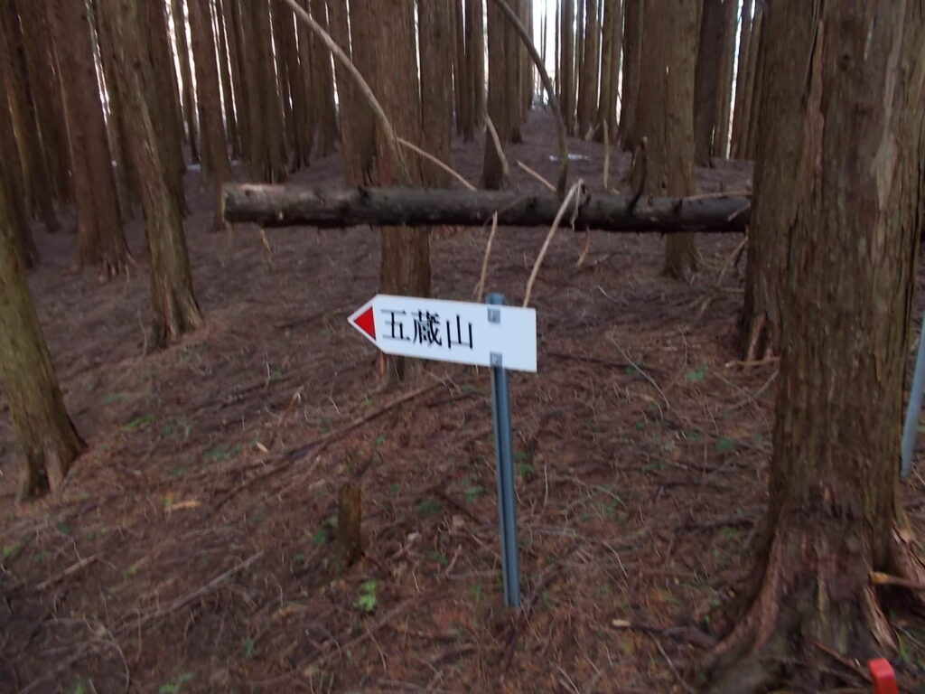 11:06 次の案内板