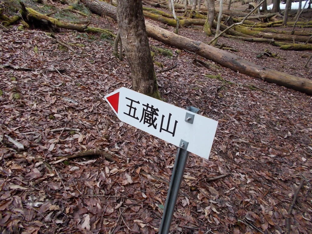 11:08 さらに次の案内板。案内はたくさんあるんですが、意外にわかりにくいところもありますので、ピンクのテープを確実に追って下さい。