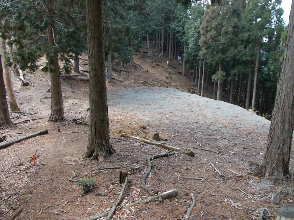 11:17 林道に出会います。