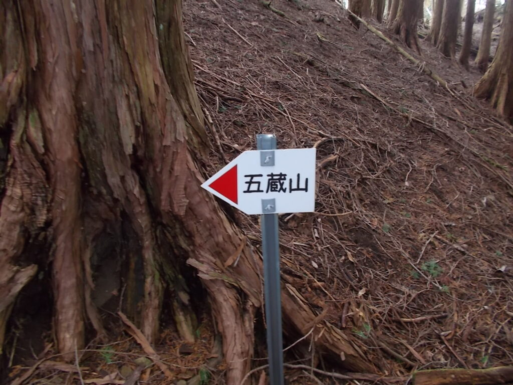 11:37 急に小さくなった案内板。ここからはこれです。