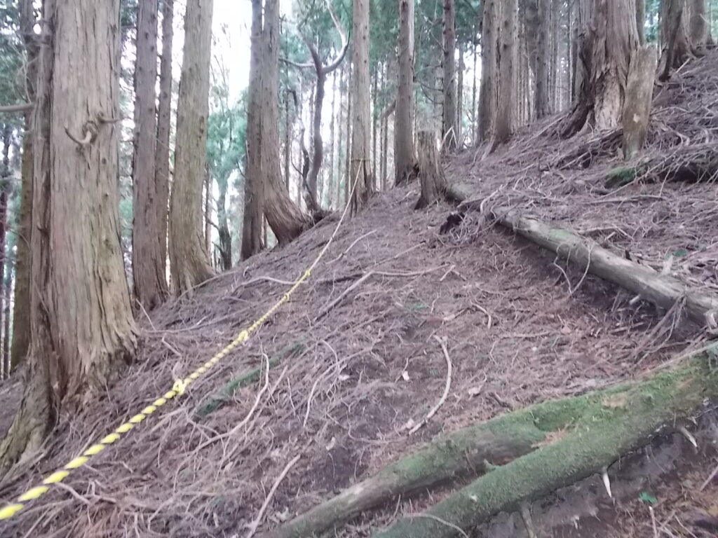 11:37 ロープのある傾斜。使う必要性は少ないですが、帰りの目印にして下さい。帰りはこの辺りわかりにくいです。