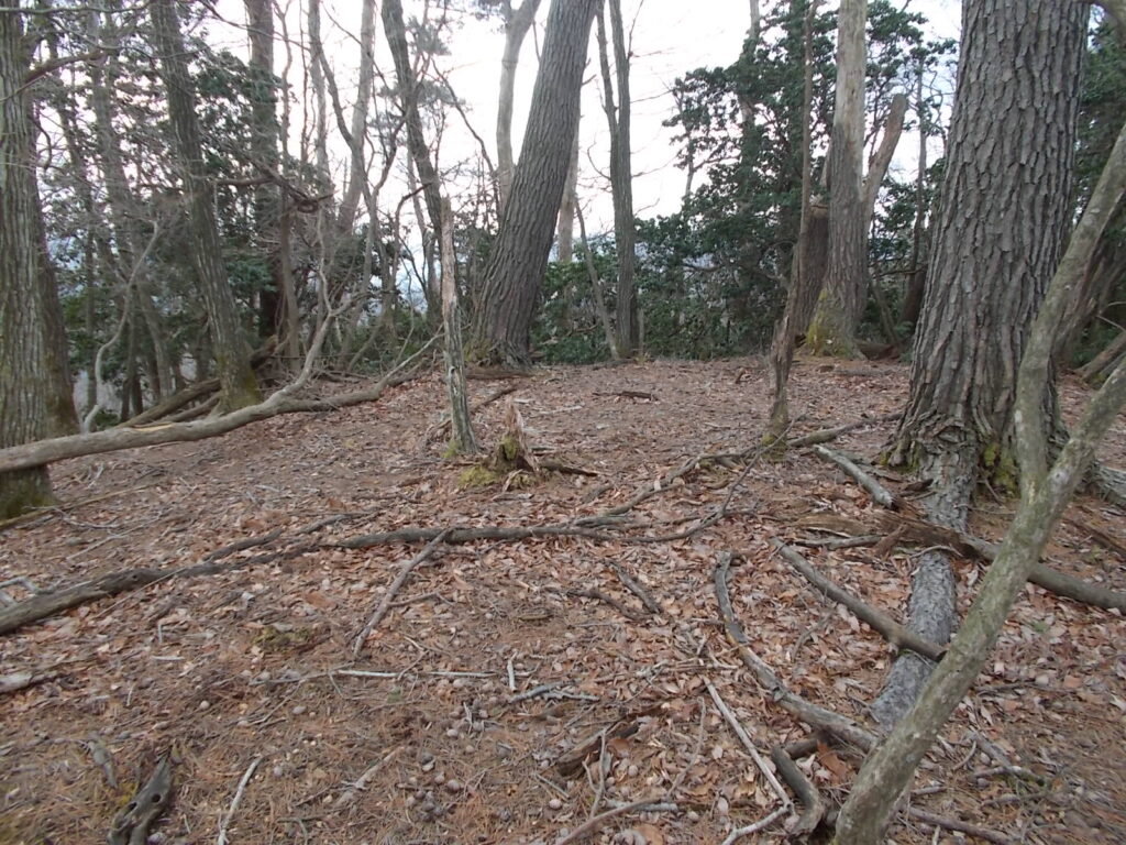 11:52 次のピーク。けっこう上り下りがあります。