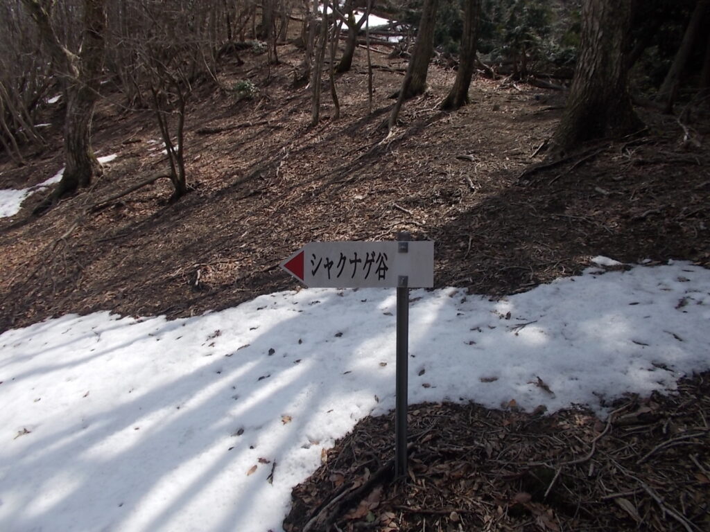 12:30 シャクナゲ谷分岐に戻りました。