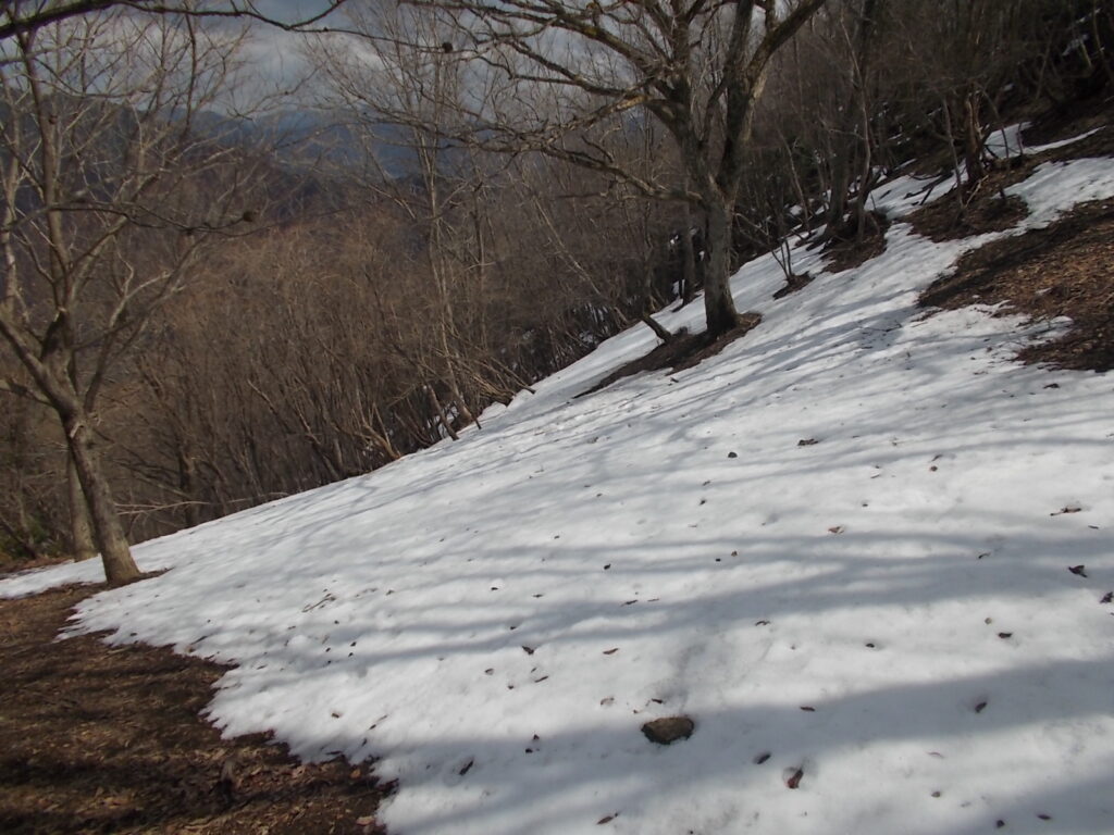 12:30 下を見ると雪だらけ。雪の装備はしていないので、あきらめて来た道を戻りました。