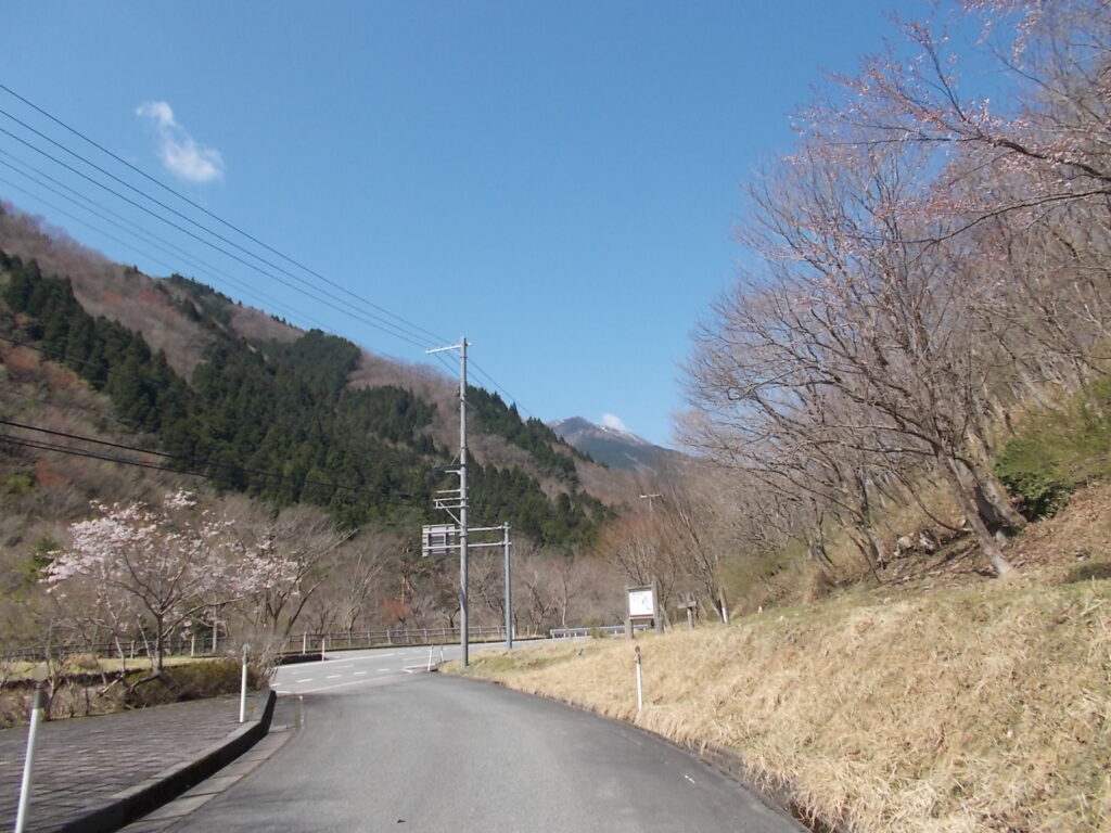 10:11 魚町公から見える後山