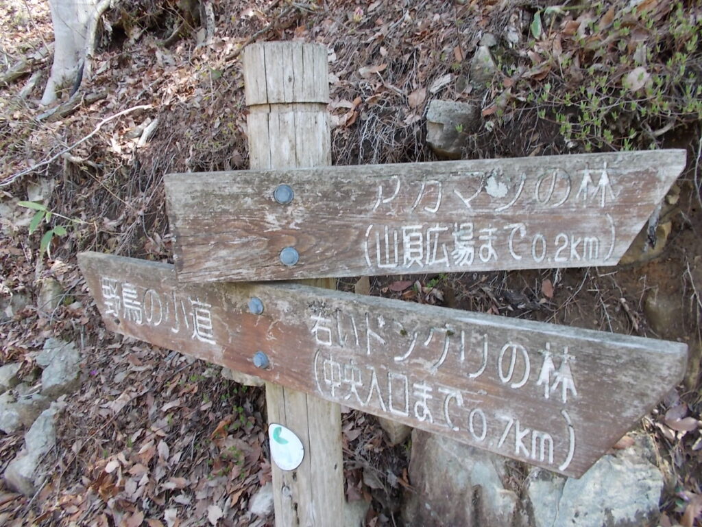 10:28 山頂広場まであと0.2Km
