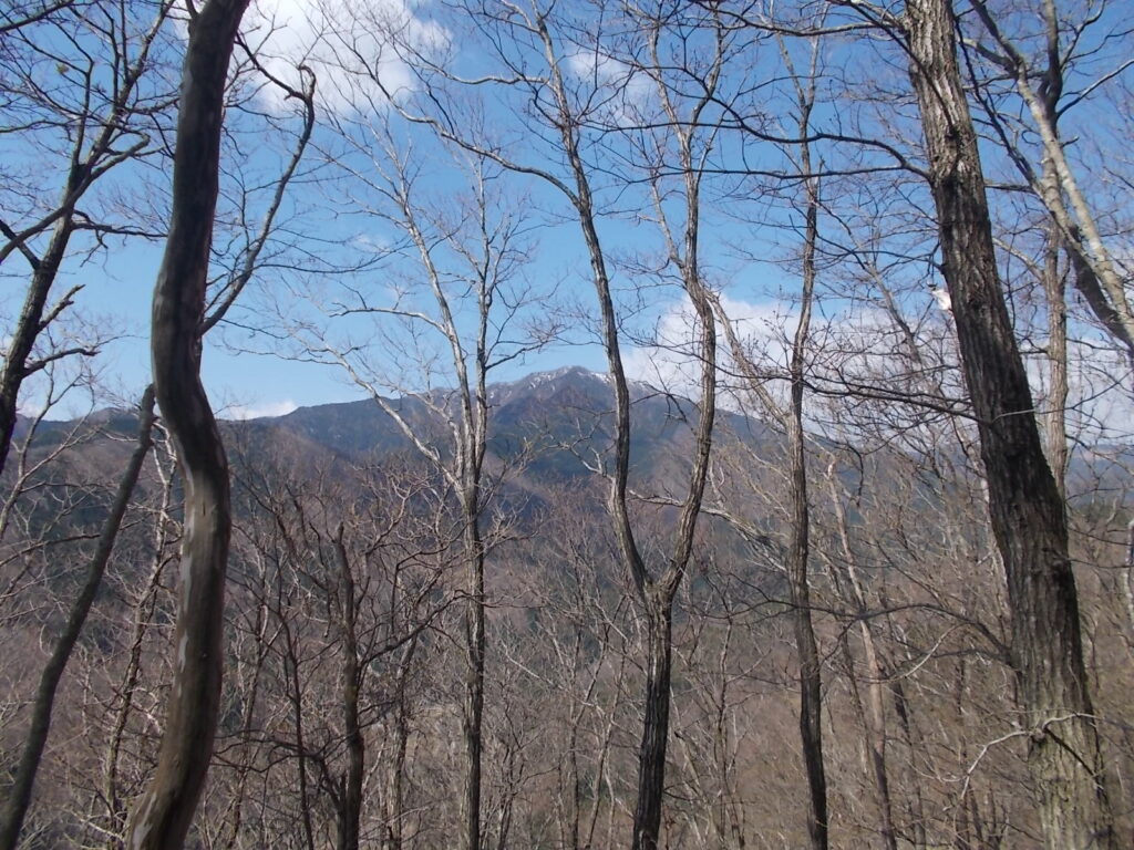 10:34 樹間から見える後山