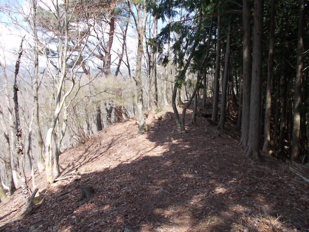 10:35 山頂広場から続く尾根筋