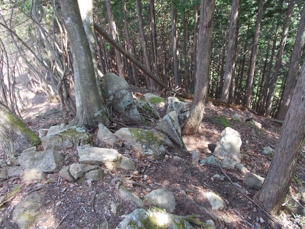 10:37 せっかく上ったのにここから下ります。