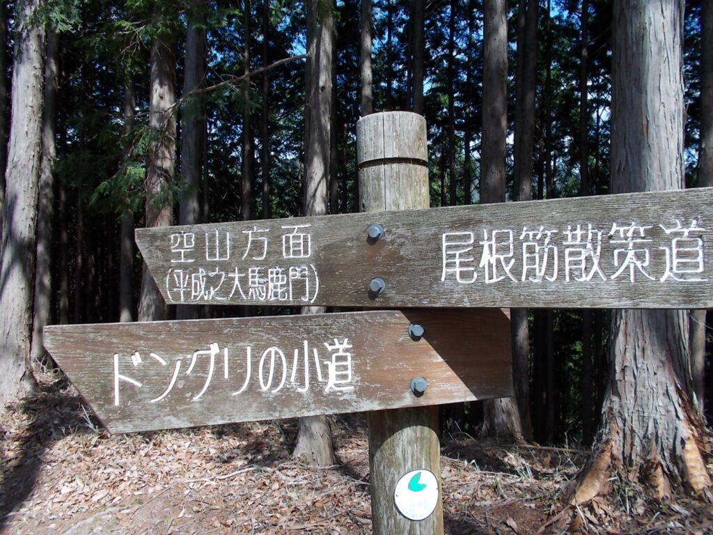 10:39 分岐の案内。ここから空山へ。