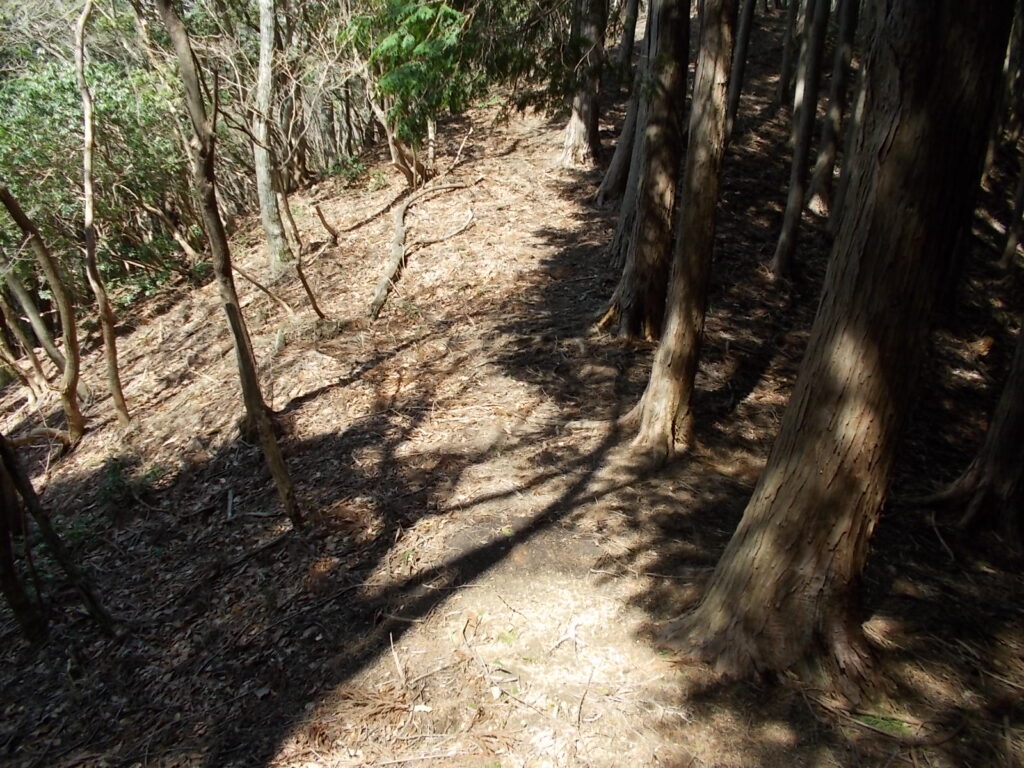 10:40 ここから上り返します。けっこうアップダウンが多いです。