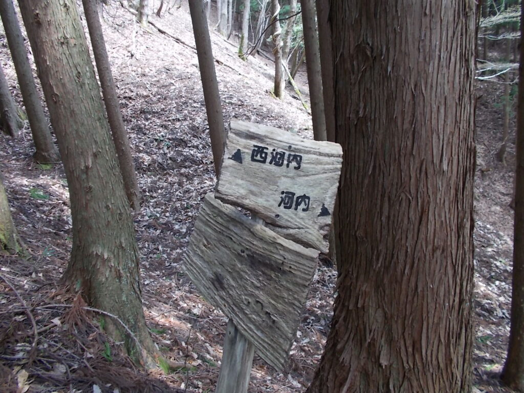 10:49 河内、西河内の分岐
