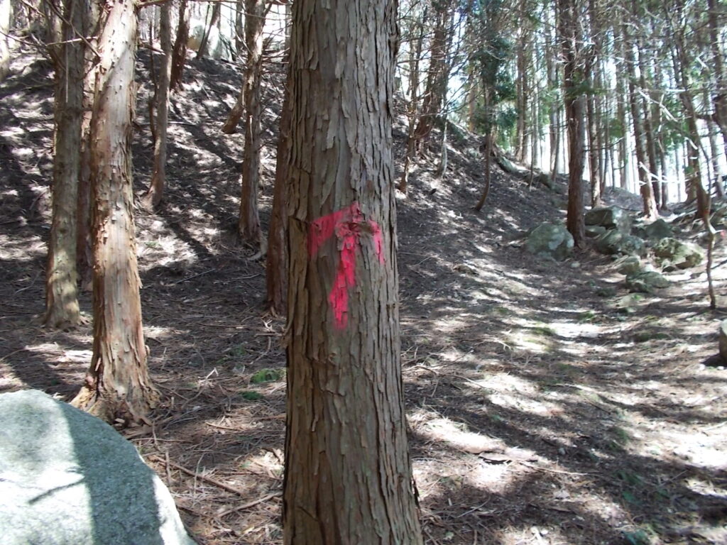 10:54 木に書かれた矢印。この辺りちょっとややこしい。