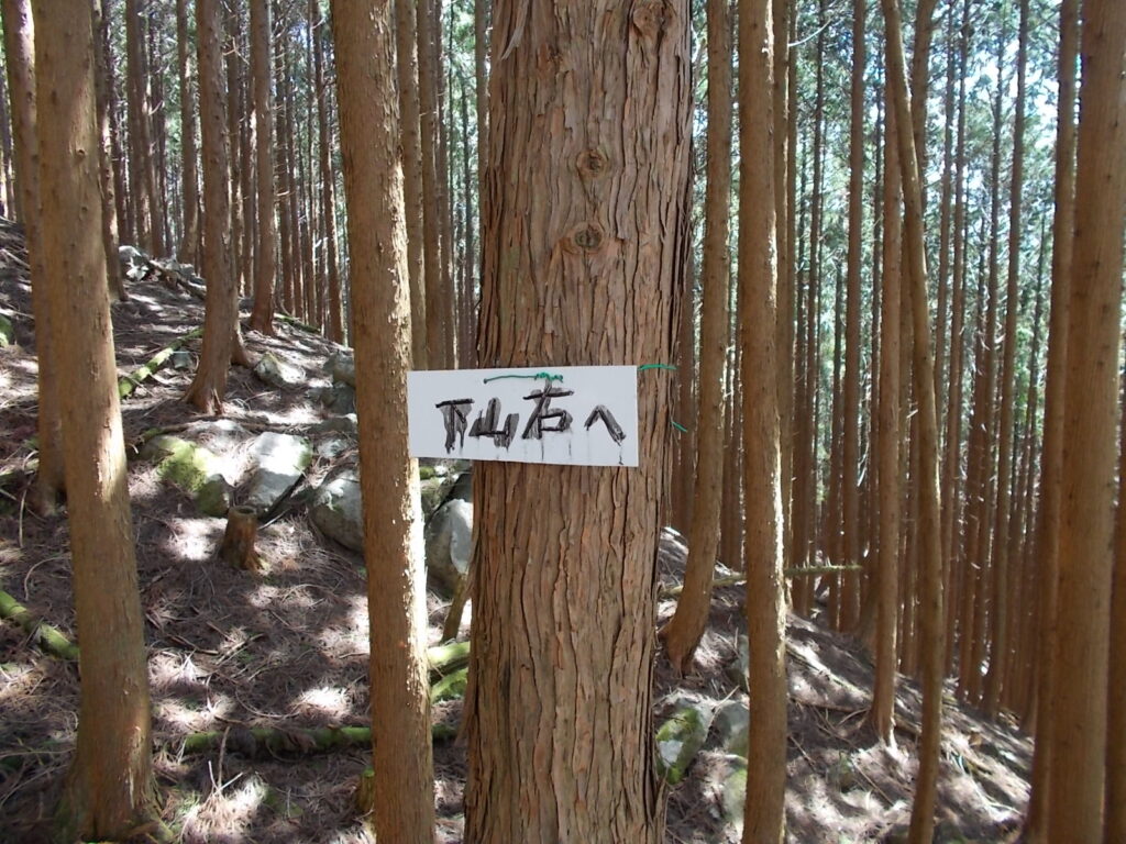 11:09 下山右への案内板。下りないので、左か。