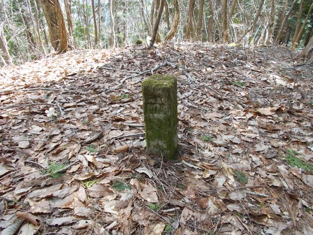 11:24 山頂手前のピークにある三角点。苔だらけになってます。とにかく厳しい上りです。