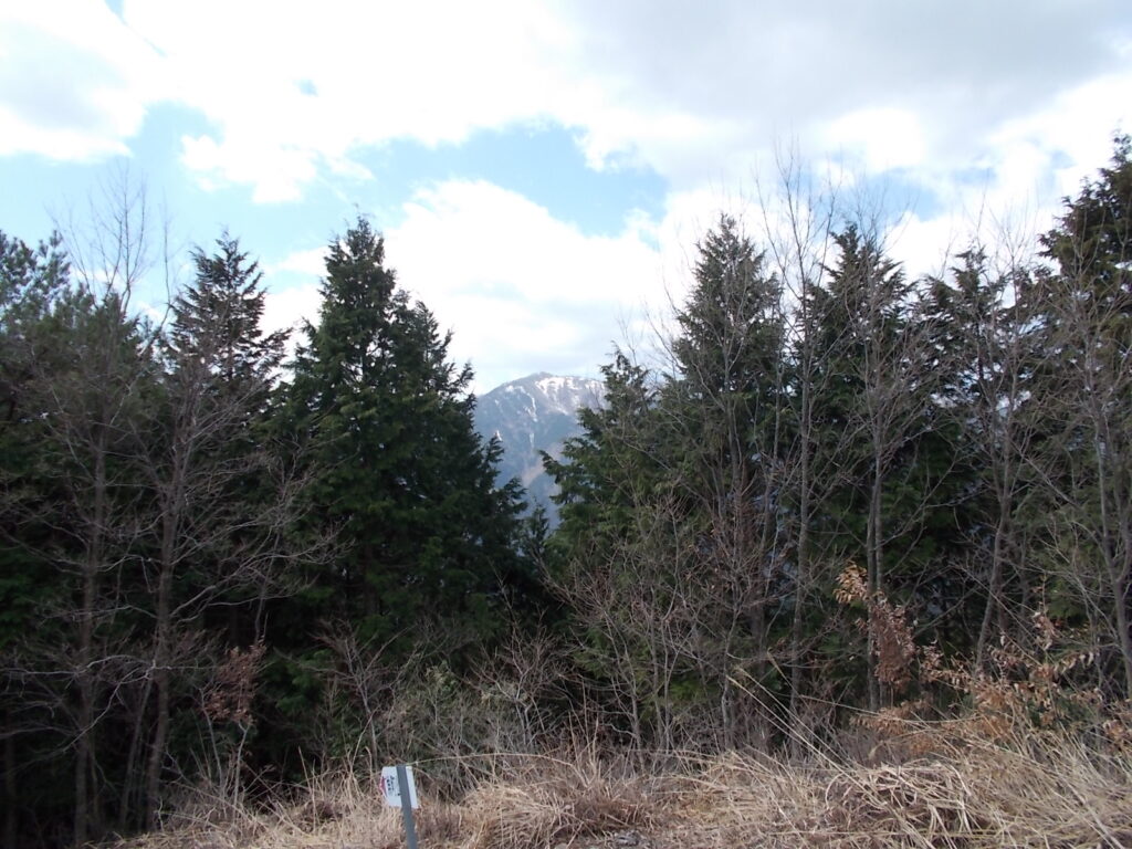 11:34 後山。とにかく見えるのはこの方面だけ。