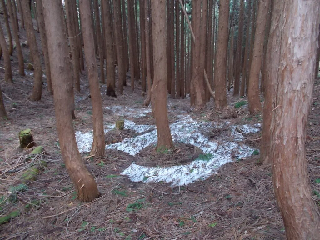 11:38 谷筋にはまだ雪が残っていました。