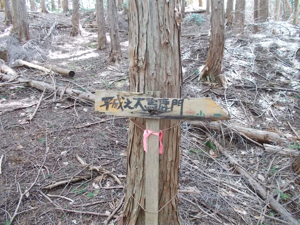 11:39 こちらのルートに箱の案内板が多いです。空山より平成之大馬鹿門?