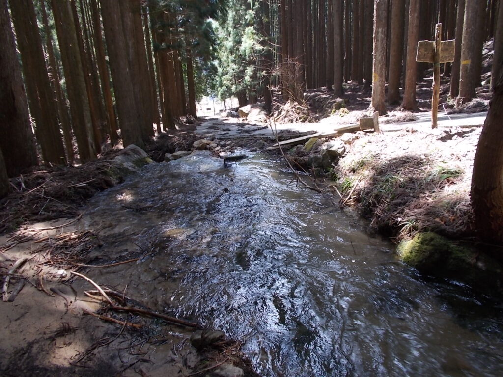 12:09 これを渡ると池田の登山口に出ますが、先日の春の嵐と融雪水でかなりの水量になっていて、また橋がないので渡るのが難しいです。渡れそうな所を探して、飛び越えました。