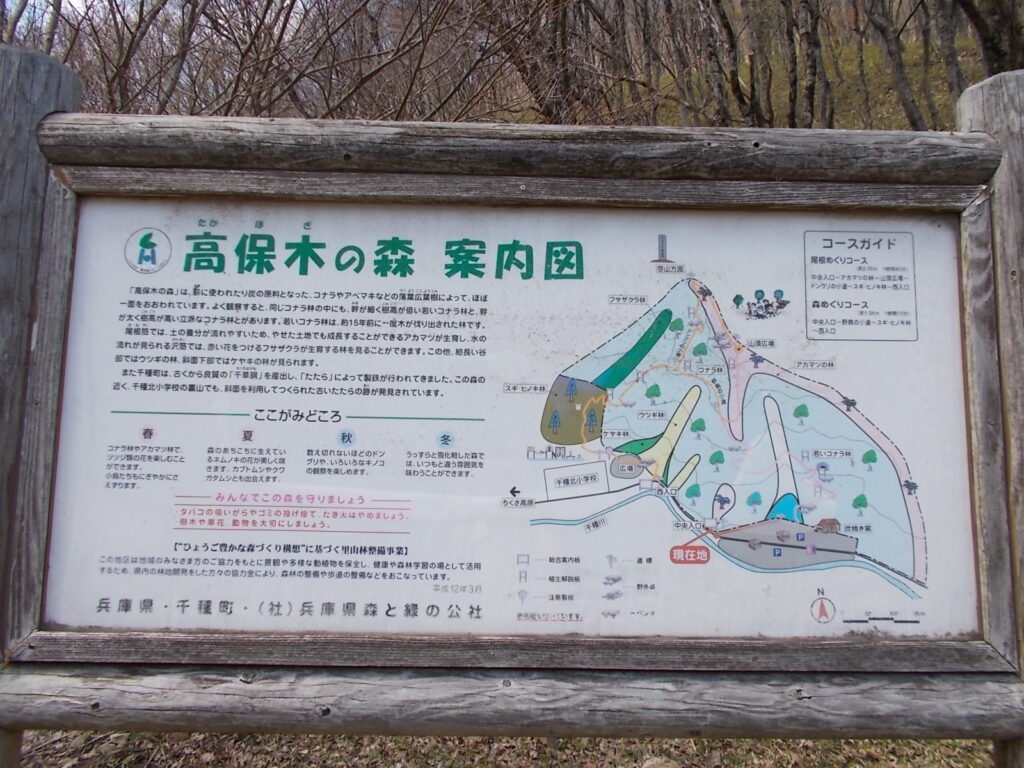 12:50 魚町公園に戻ってきました。