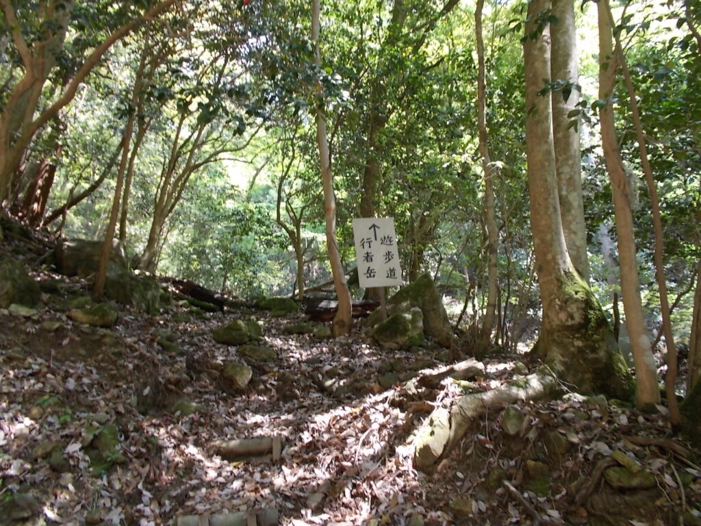 11：03　登山道に入ります。遊歩道らしいですが、かなり厳しいです。