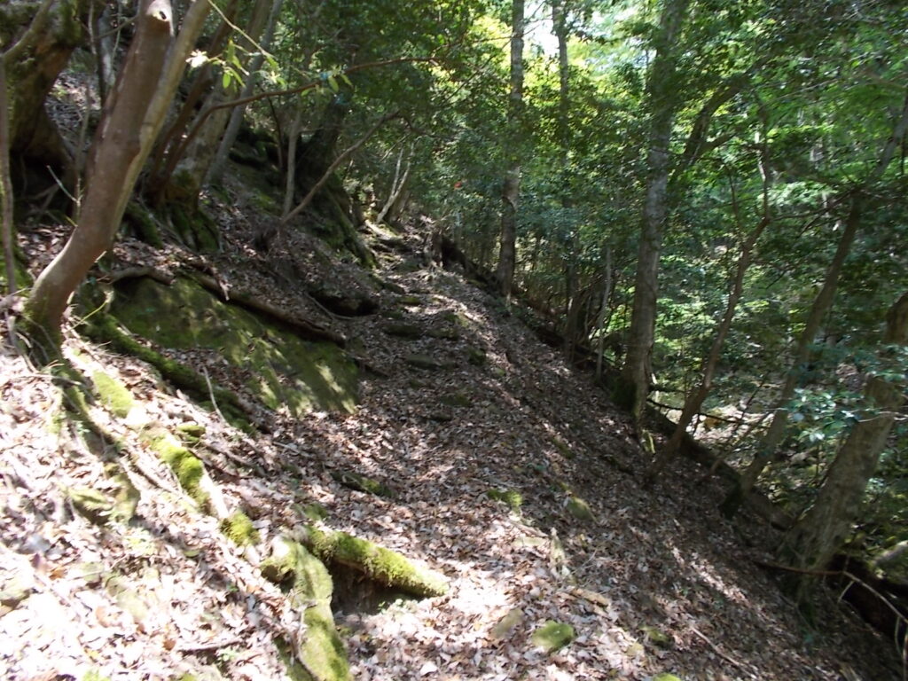 11：04　石の階段やら、落ち葉がいっぱいの暗い登山道