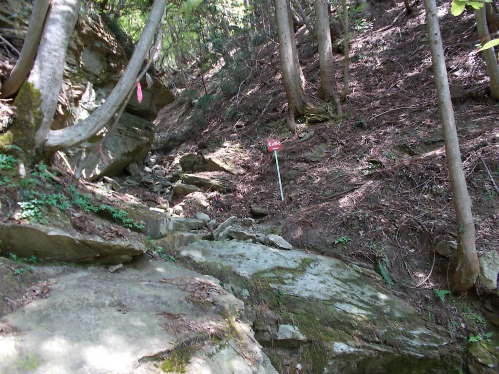 11：17　小さな沢を渡ります。水はありません。