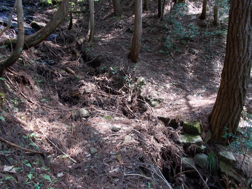 11：17　また、沢を渡ります。