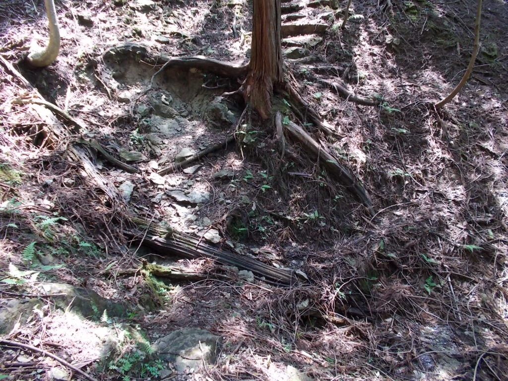 11：24　さらに沢を渡ります。
