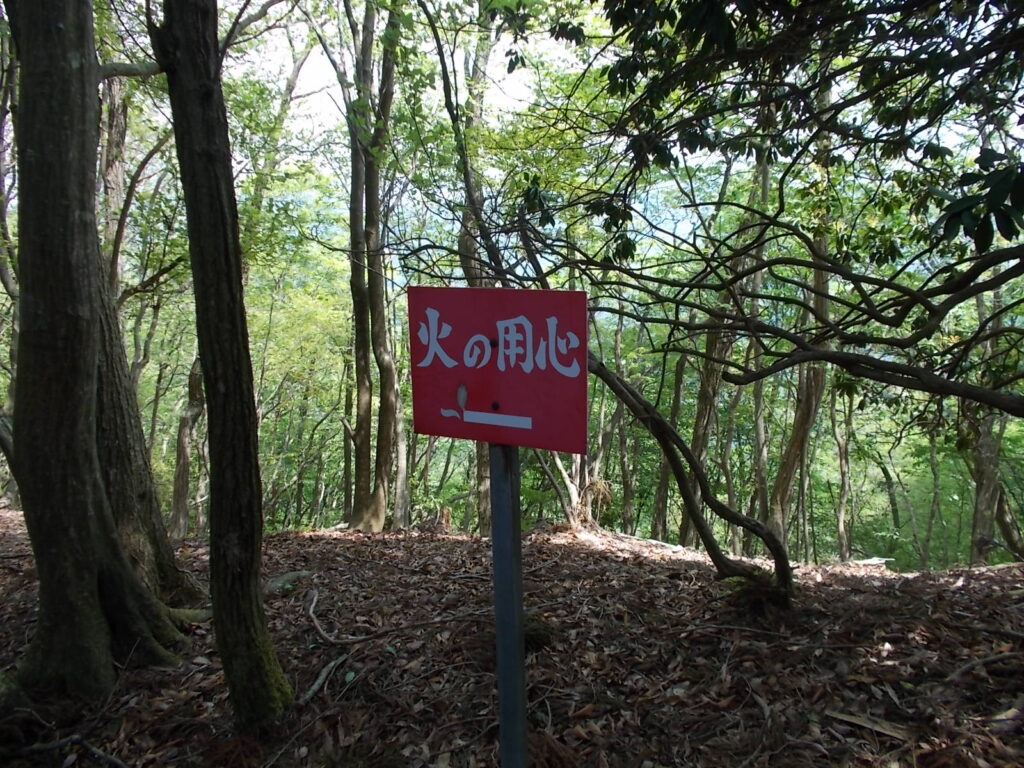 11：31　この辺り迷いそうになるんですが、案内どおりまっすぐに。この案内が目印にもなります。