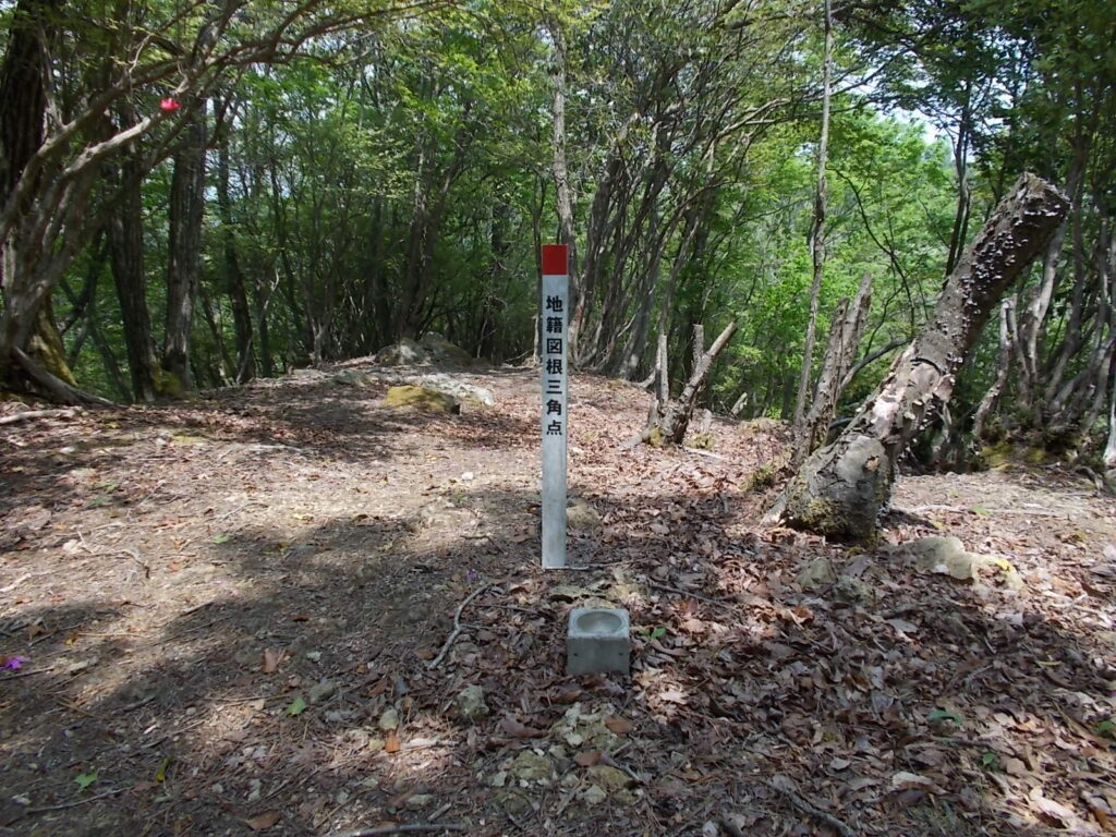 11：38　地籍図根三角点のあるピーク