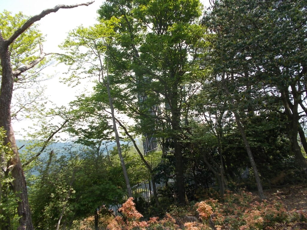 11：45　大きな反射板がありました。ここで昼食にしました。