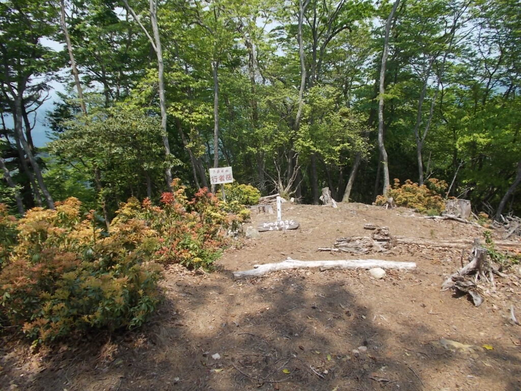 11：56　クマバチがブンブンとうるさいので下ります。