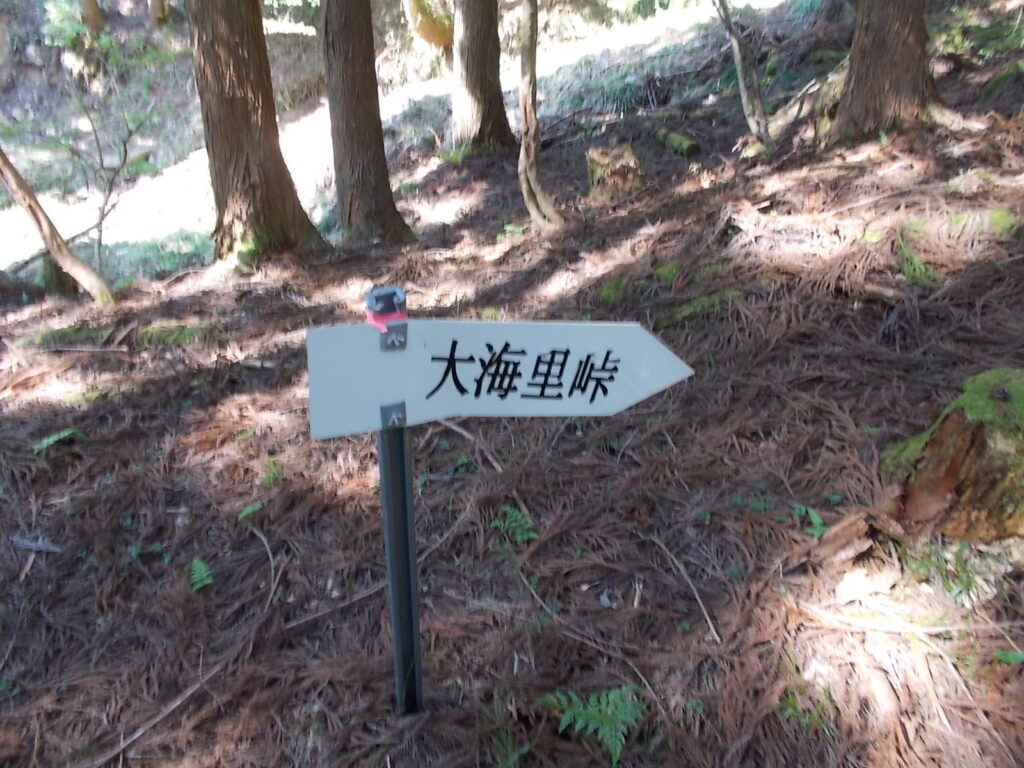 8：56　大海里峠への案内板。人工林の中を歩きますが、けっこう明るいので雰囲気はいいです。