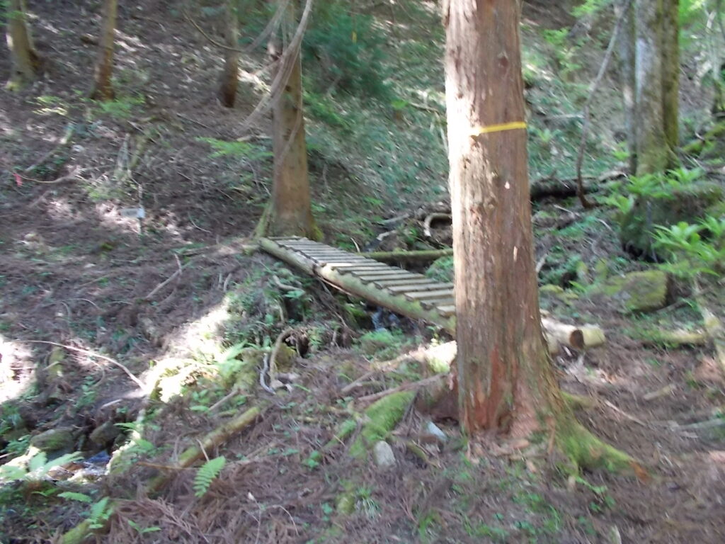 9：00　真ん中が折れそうな橋を渡ります。