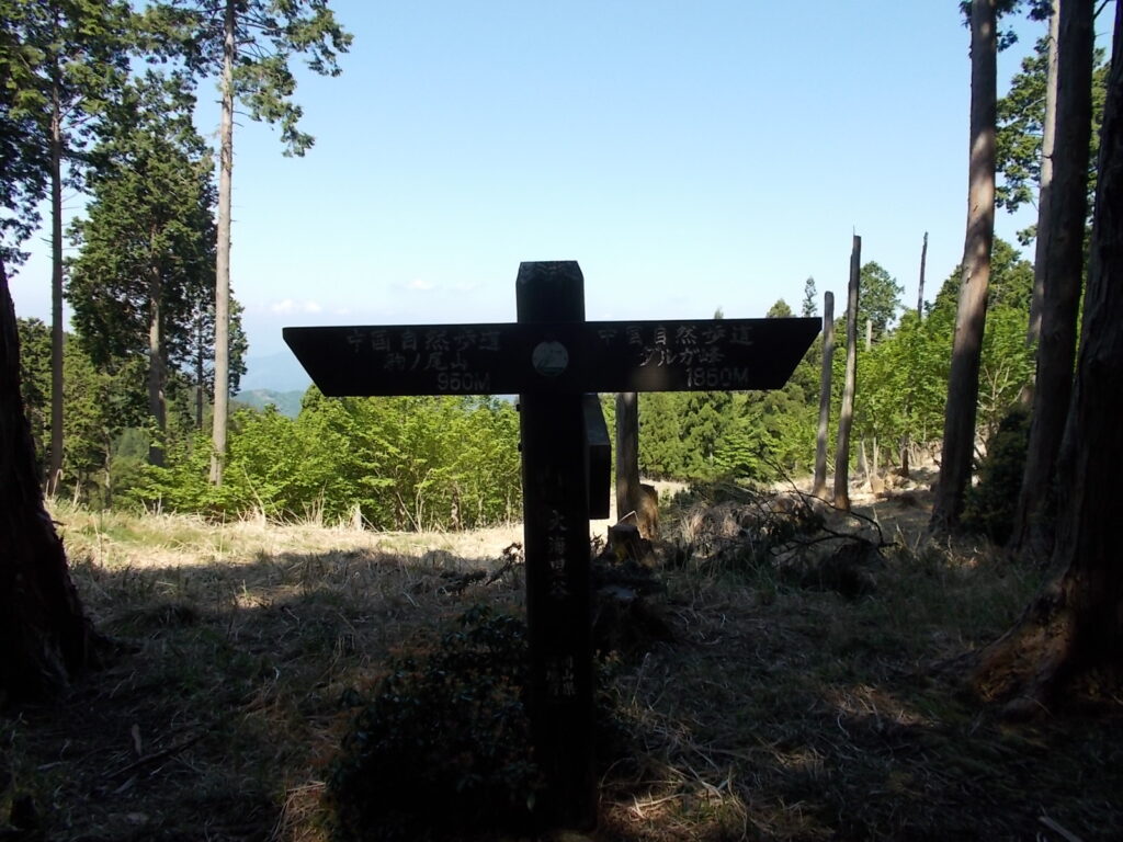 9：33　道中歩き難いところもなく順調にいくと、見晴らしがよくなったと思ったら、大海里峠に着きました。