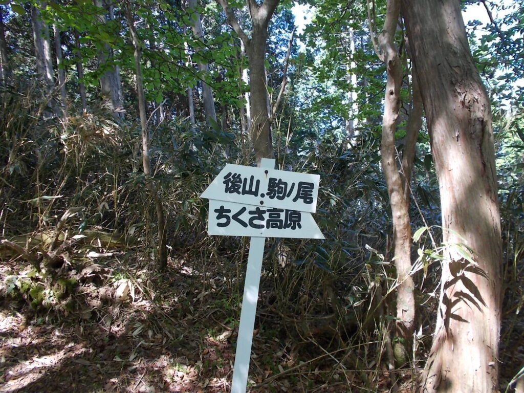 9：38　案内板。？って思いますが、とんがった方向ですね。