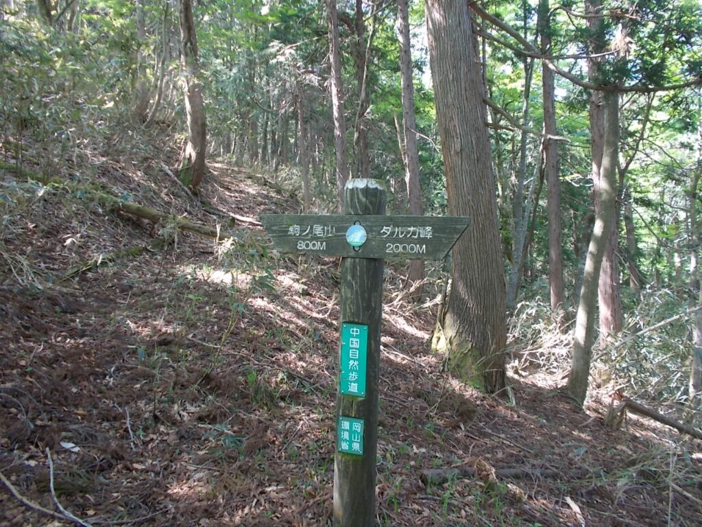 9：41　中国自然歩道の案内板。駒の尾山まであと800ｍ。