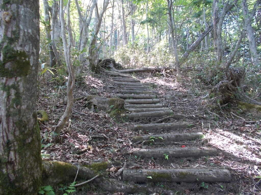 9：42　このコース最難関の階段上りです。