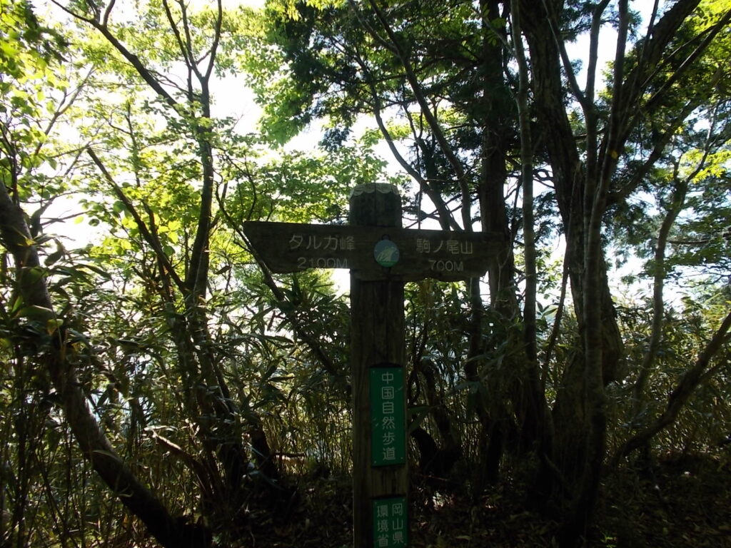 9：45　駒の尾山まであと700ｍ