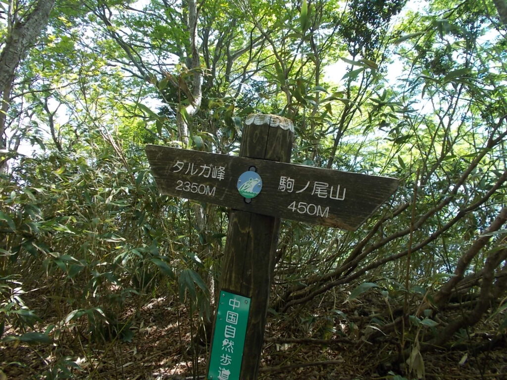 9：51　駒の尾山まであと450ｍ