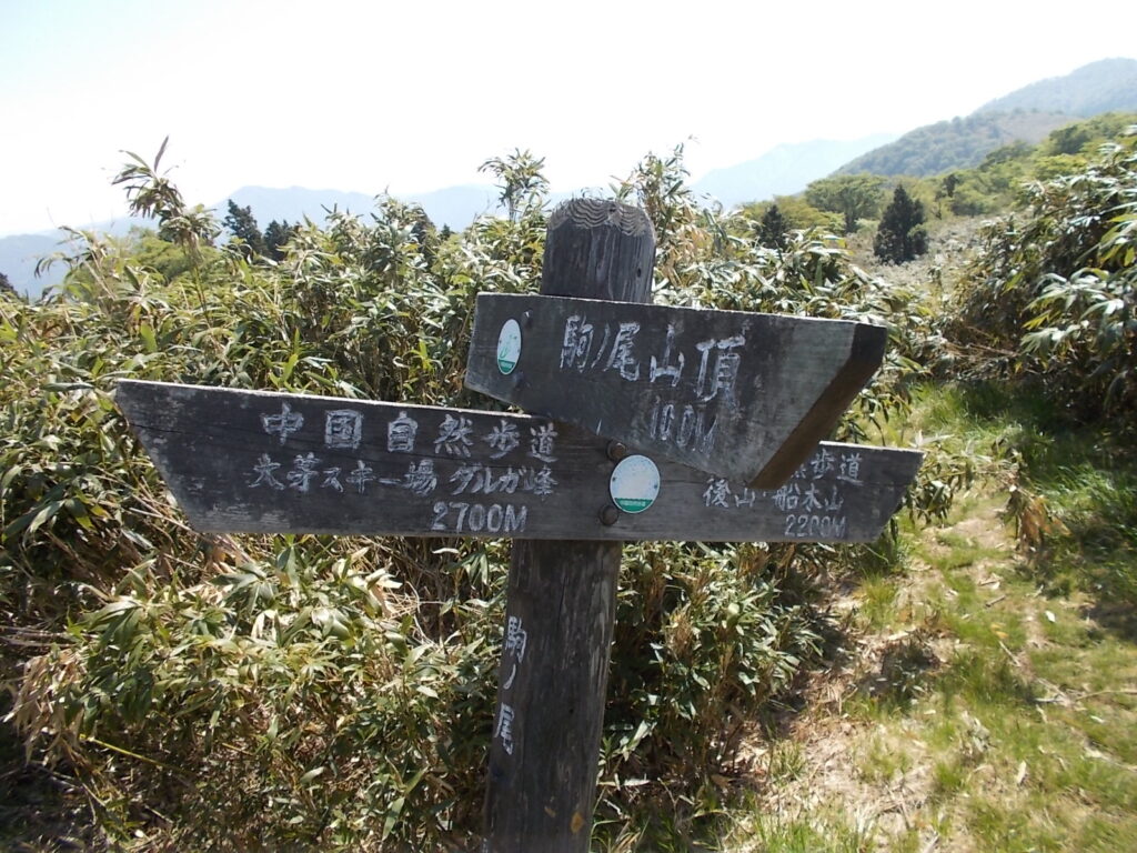 9：58　駒の尾山への分岐