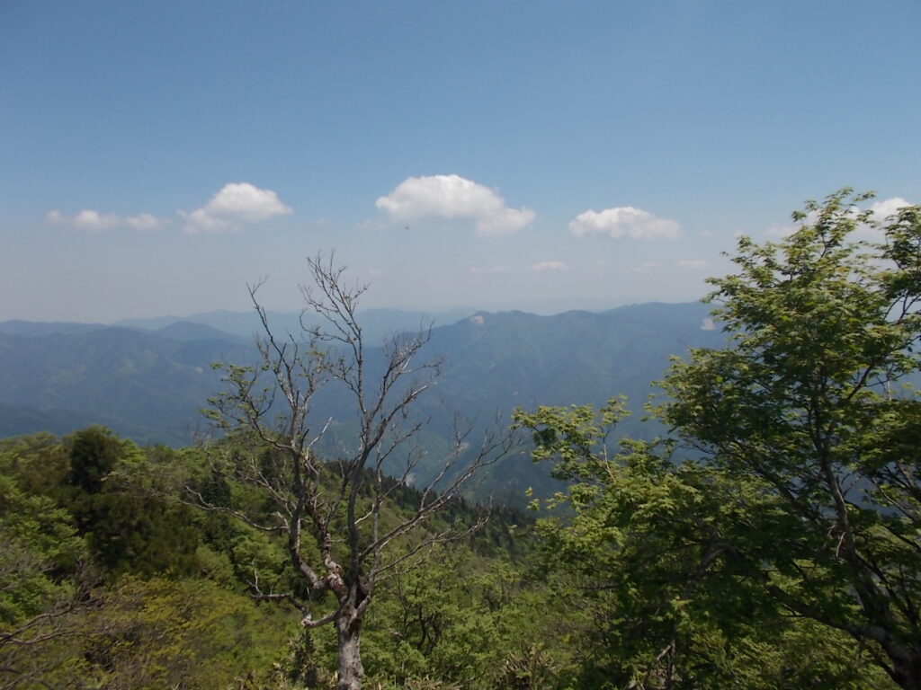 11：53　遙か遠くは段ヶ峰かな。