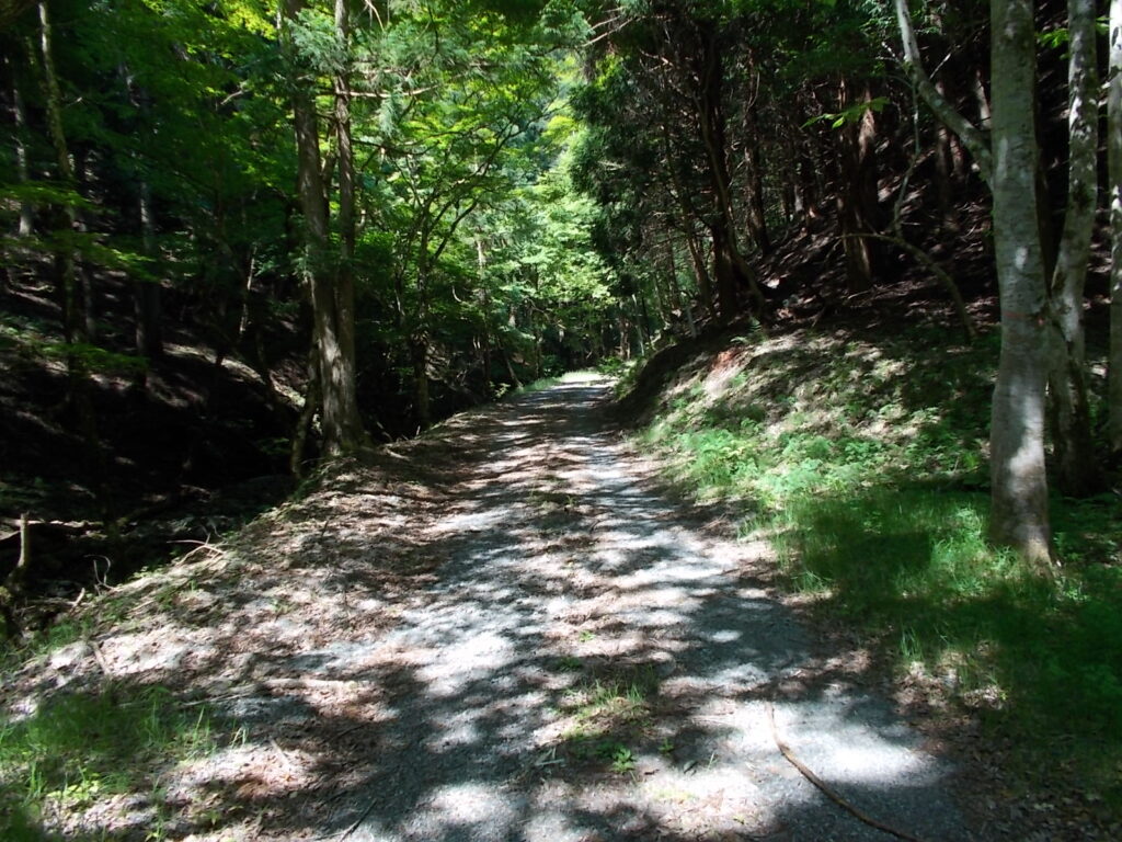 10：07　しばらくは林道歩きです。