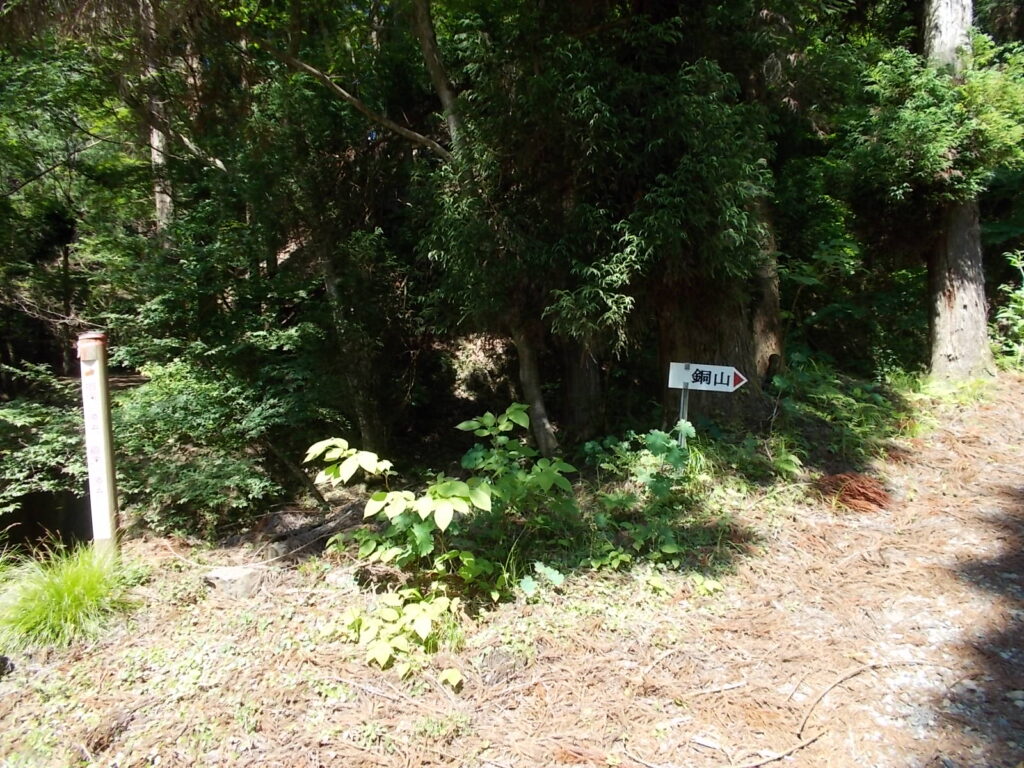 10：15　ココは右へ。まだまだ続きます。