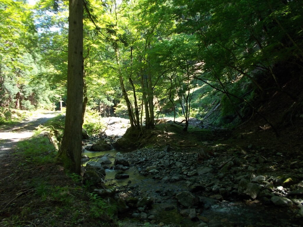 10：16　少し川幅の広いところに出ました。