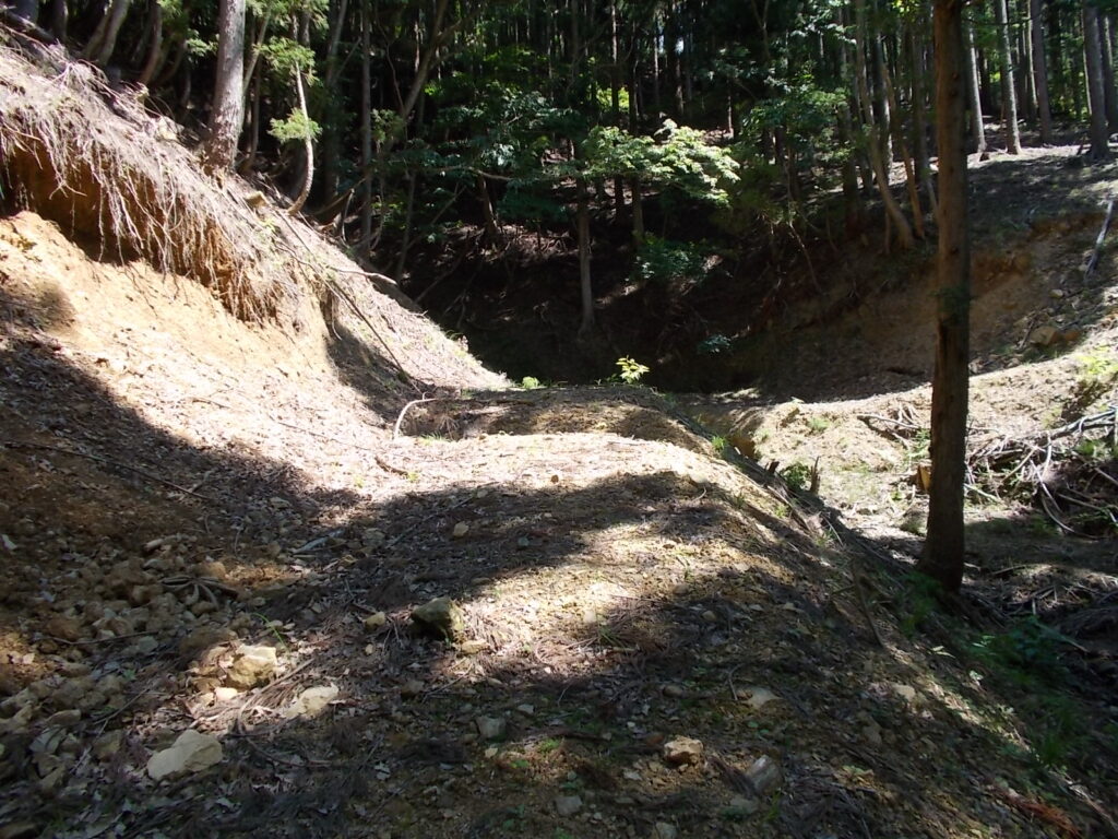 10：31　登山道かと思いきや、また林道を歩きます。