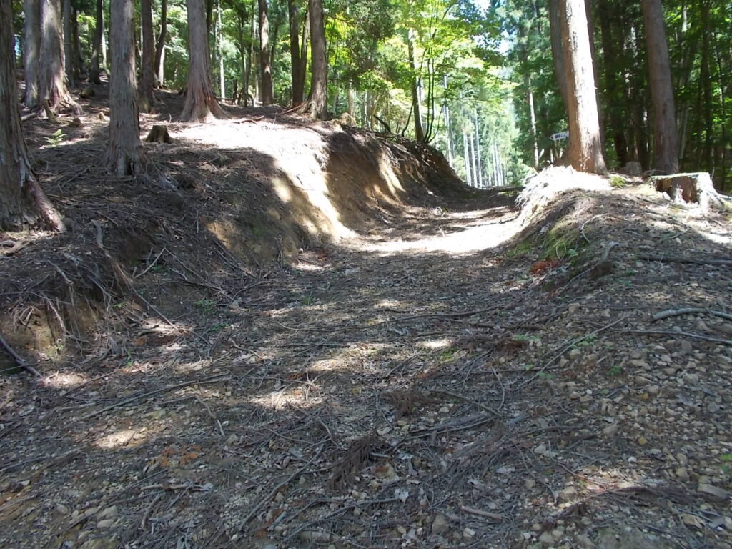 10：37　登山道に入ったかと思ったら、また林道が現れました。